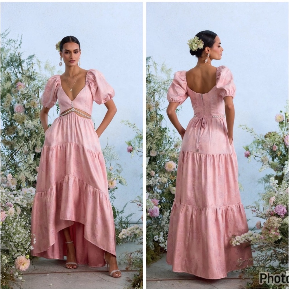 V Chapman The Emma Dress In Light Pink Windsor Brocade Size 10 Embellished Maxi